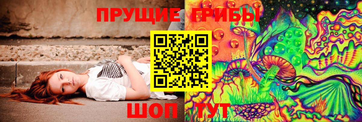 Галлюциногенные грибы Cubensis Белово